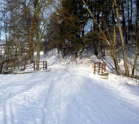 Cesta vedoucí z lesa.