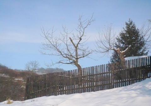 Pěkný plot.