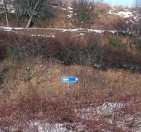 Směr - Borová.